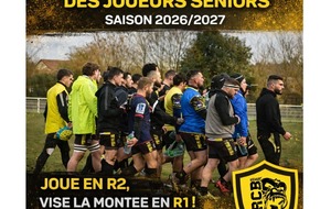 Recrutement séniors