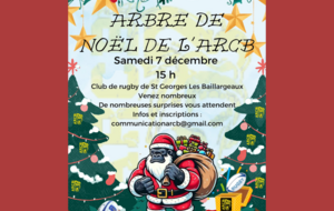 Arbre de Noël ARCB